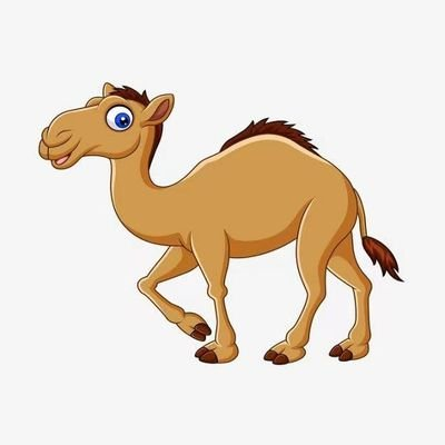 camel